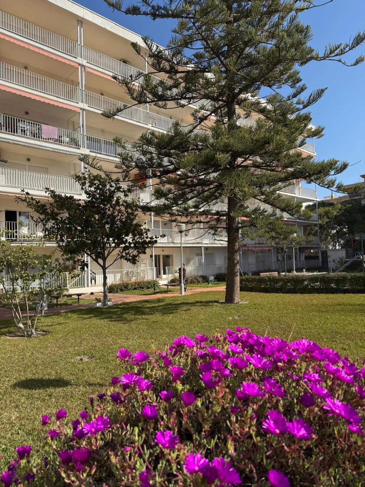 Apartamentos Hesperia Palmyra Σαλού Εξωτερικό φωτογραφία